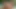 Brazzers - sarışın bomba alexis ford yeni havuz çocuğunu sikiyor