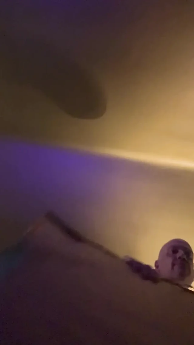 Ham su samuru dildo sikişi ve boşalma