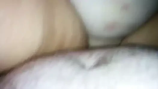 alay hanımları KEDİ