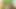 Connivingrat 3d porno hentai derlemesi 22