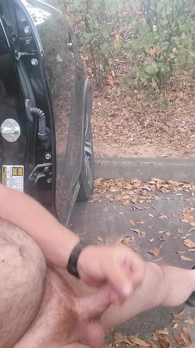 Waffle evinin arkasında