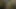 Bbw anal ve kedi çift vibe