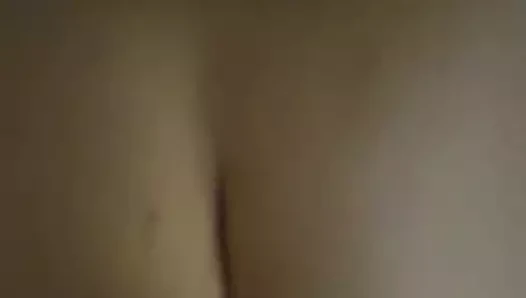 Büyük ganimet köpek