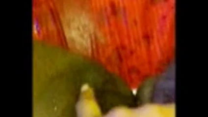 İri güzel kadınım