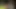 Bosnian_beauty yeni yıl kralı büyük zenci
