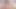 Ma olive cam verir avi aşk bazı vuruşlar