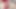 Cheating Latina MILF Mature Wife Birthday: Dildo Gift + Fingering then Doggystyle Dildo Fucking Real Homemade