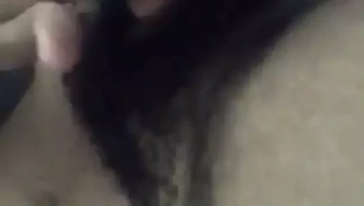 kıllı abanoz çalı