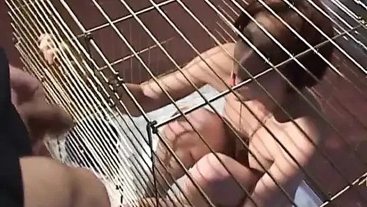 İtaatkar sürtük kafesteyken polis memurlarına sakso çekiyor