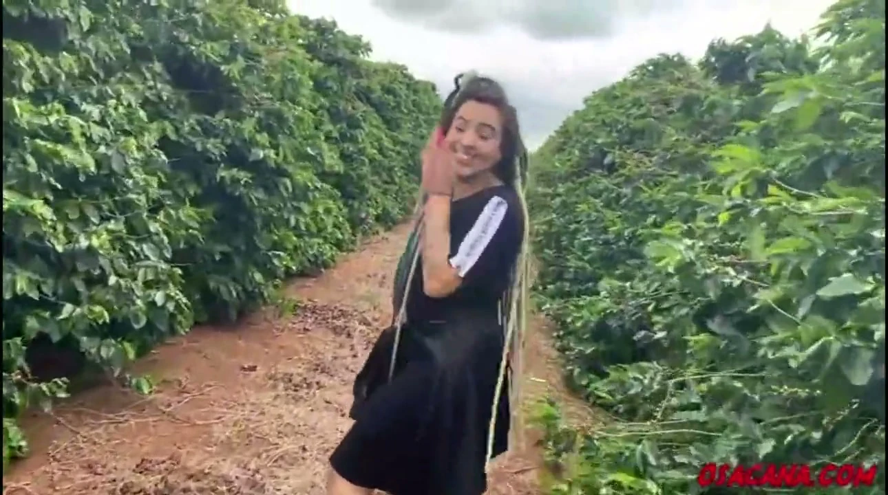 Beautiful Young Girl with Dreads Fucks Inside the Coffee Plantation