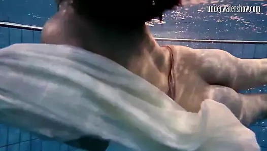 Özel Çek genç kıllı kedi içinde the havuz