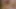 Alman aşırı amatör boşalmak ve Creampie alem