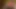 santas little helper under the Christmas tree now in full 4K high quality Ultra HD