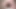 Pawg farklı dildolara binen sulu göt derleme videosu Anna Mole.