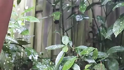 Sıcak kaltak mastürbasyon içinde bahçeler