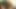 Beautiful tattooed guy body cock sucking asian hairy pussy fucking after massage