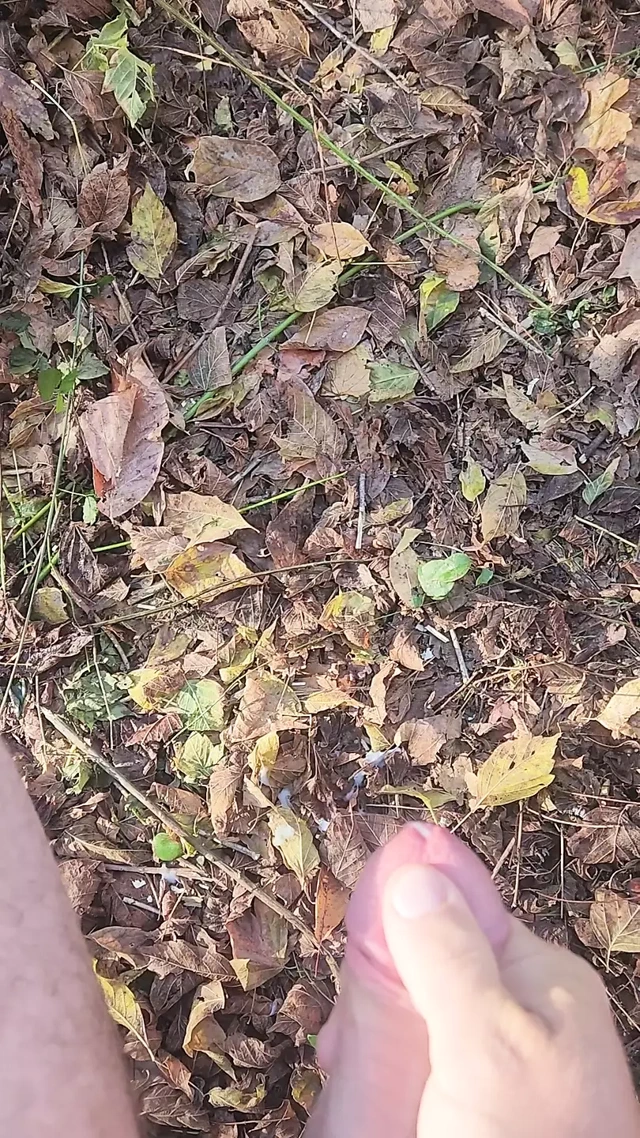 Otoyol yakınında yürüyüş