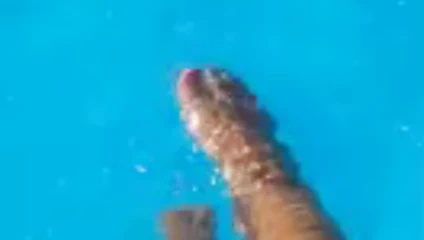 Havuzda ayak (stopala u letu)