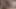 Zenci kraliçenin tropikal saksosu: en iyi zenci xxx pornosu!