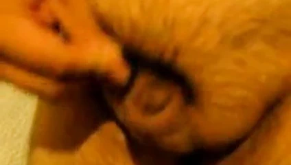 Minik penisimi cımbızla otuzbir çekiyorum!