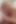 Blonde MILF Brittany Bardot Stretches Her Ass With Thick Dildo In Preparation For An Anal Pounding