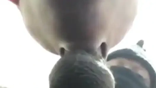 Mükemmel dudaklı süper ıslak sakso