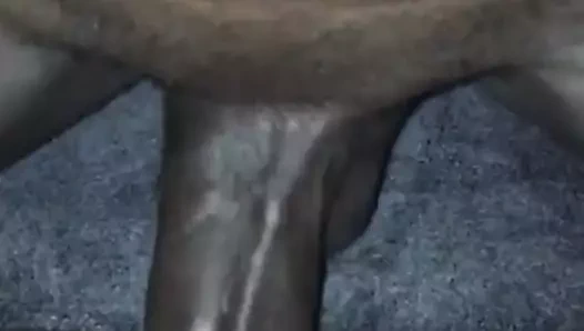 kar tavşanı sıçrama