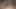 En sevdiğim köle kız için ateşli bir oral seks