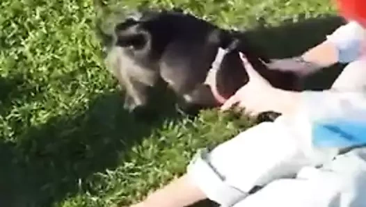 The_Dramma_Queen videosu