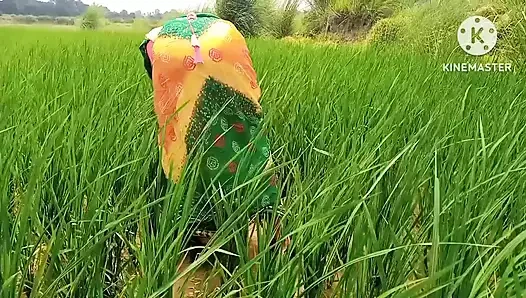 Hintli kızlar ve desi sevgilisi sikişiyor hinde ses