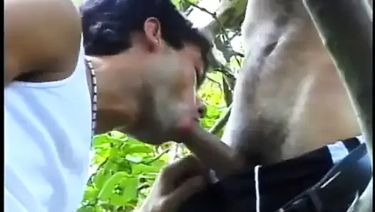 İki azgın adam çimlerde oynayan birkaç Brezilyalı ateşliye katılmaya karşı koyamıyor