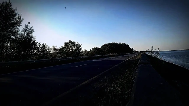 Twink took the train from the city to the forest to jerk off his cock among the mushrooms and trees