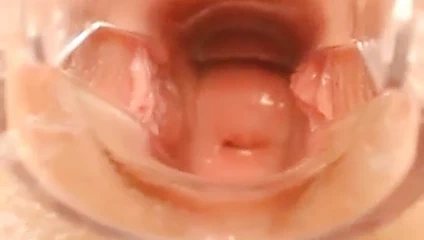 Kedi yakın çekim ve spekulum