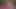Büyük götlü Scarlett Rosewood çıplak yoga yaparken mastürbasyon yapıyor