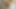 B taraf - orta yaşlı seksi kadın ava addams alli rae'ye büyük yarağı nasıl alacağını öğretiyor