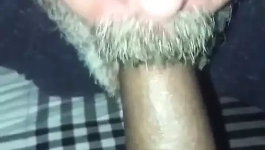 Bıyıklı yarak emici