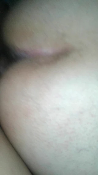 Yemek leylek garsonları