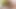 Kırmızı çoraplı seksi büyük götlü Nijeryalı genç sürtük yarak için can atıyor.
