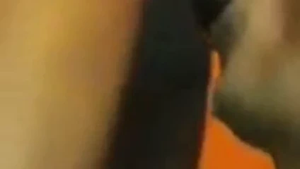 bir arkadaşı beslemek