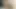 Zürih'te Hintli porno yıldızı