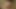 cam 4u üzerinde benim oyuncaklar ile oynamak