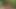Dağın ortasında soyunup mastürbasyon yapıyorum