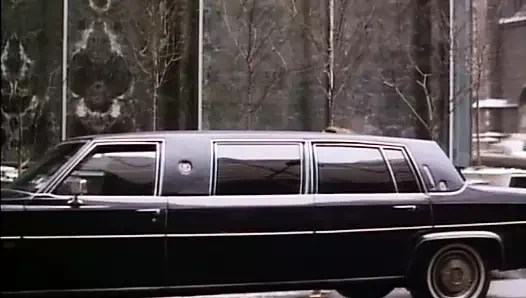 Aşk çemberleri (1985)