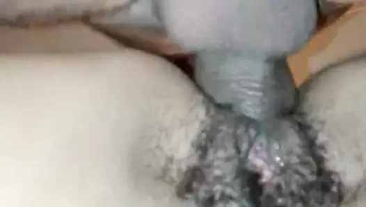 Kedi ve eşek saç kedi