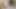Tombul bbw gösterme seksi kedi üzerinde kam