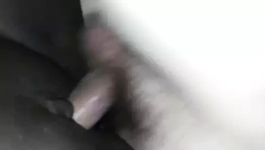 çikolata KEDİ çiftçilik