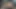 Kuni reb ve kız