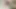 amatör karısı var çoklu kedi yalama orgazm ve alır bitmiş kapalı ile bir büyük fışkırtma