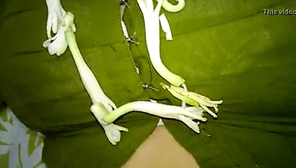 Jammu seks 86961 zevk almak 41294