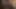 00001Ellie Bee